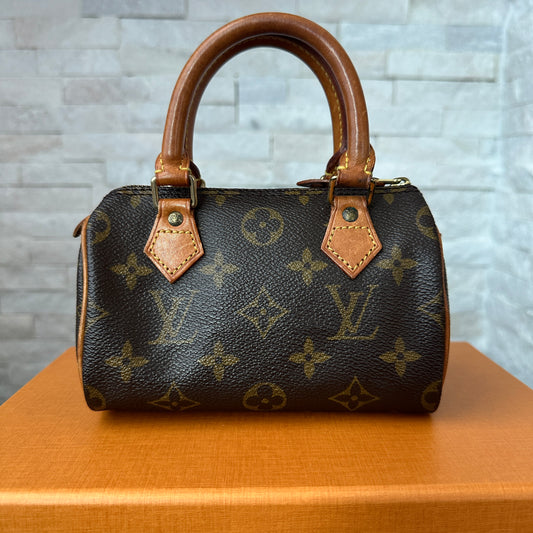 Louis Vuitton Mini Speedy