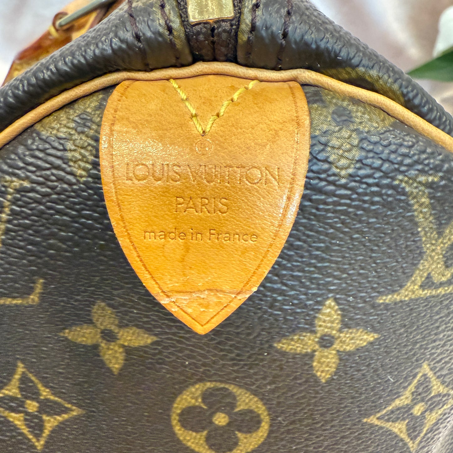 Louis Vuitton Speedy 30