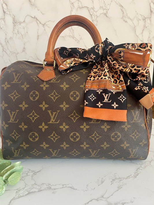 LOUIS VUITTON SPEEDY 30