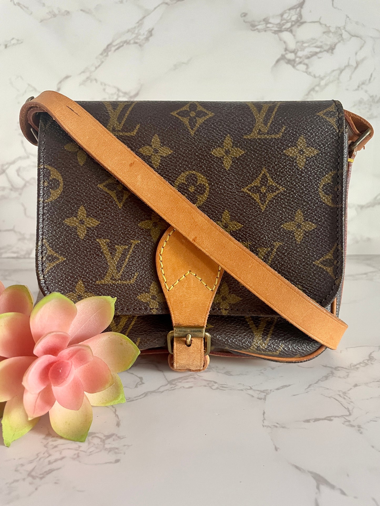 LOUIS VUITTON MINI CARTOUCHIERE