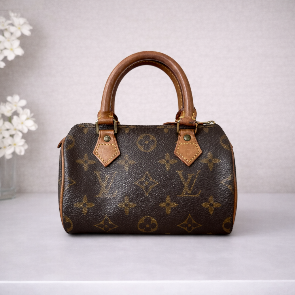 Louis Vuitton Mini Speedy