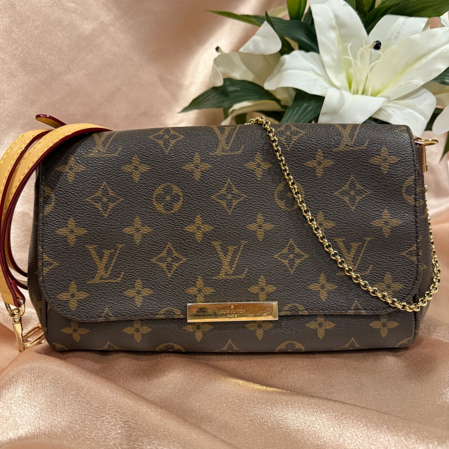 Louis Vuitton Favorite MM