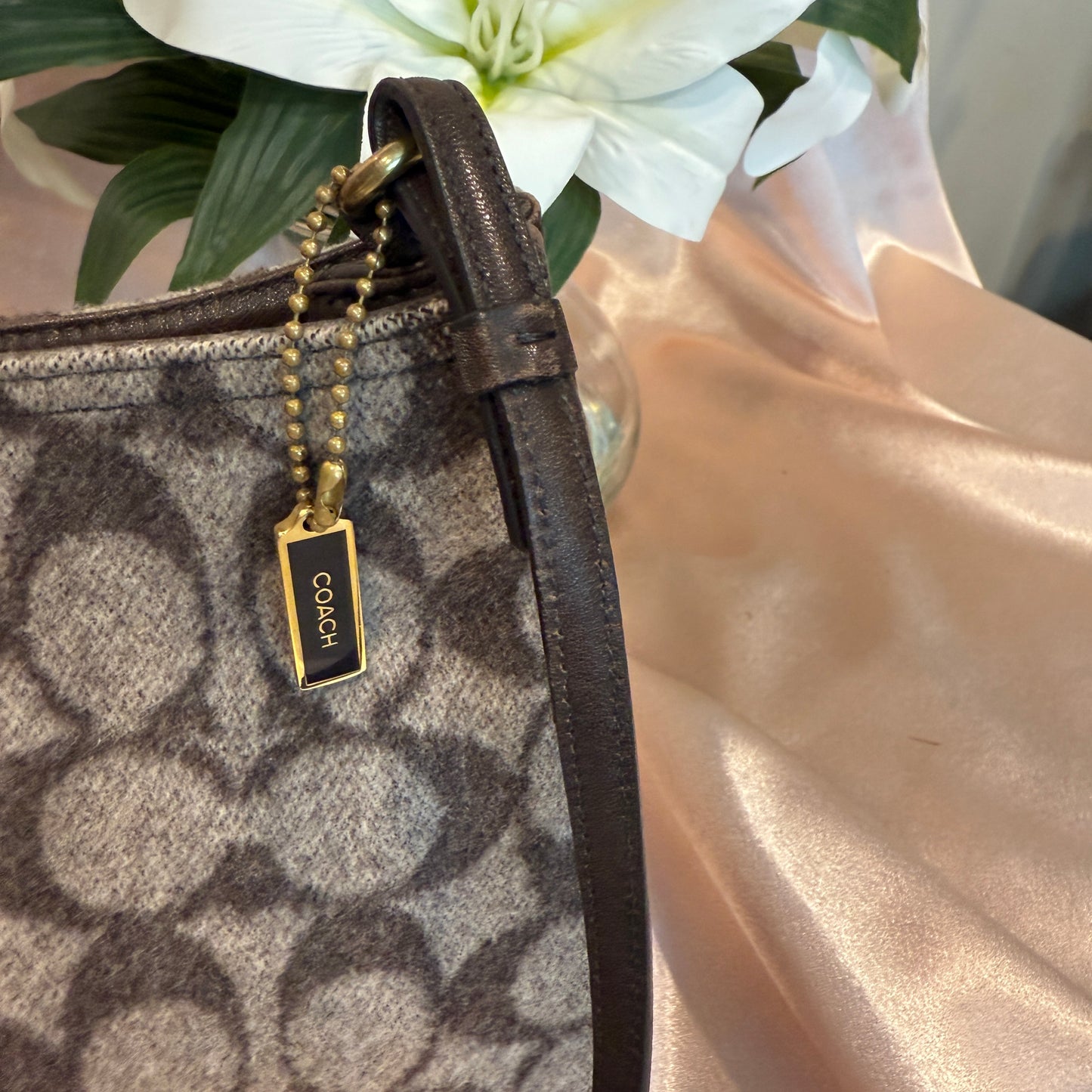 Coach Pochette