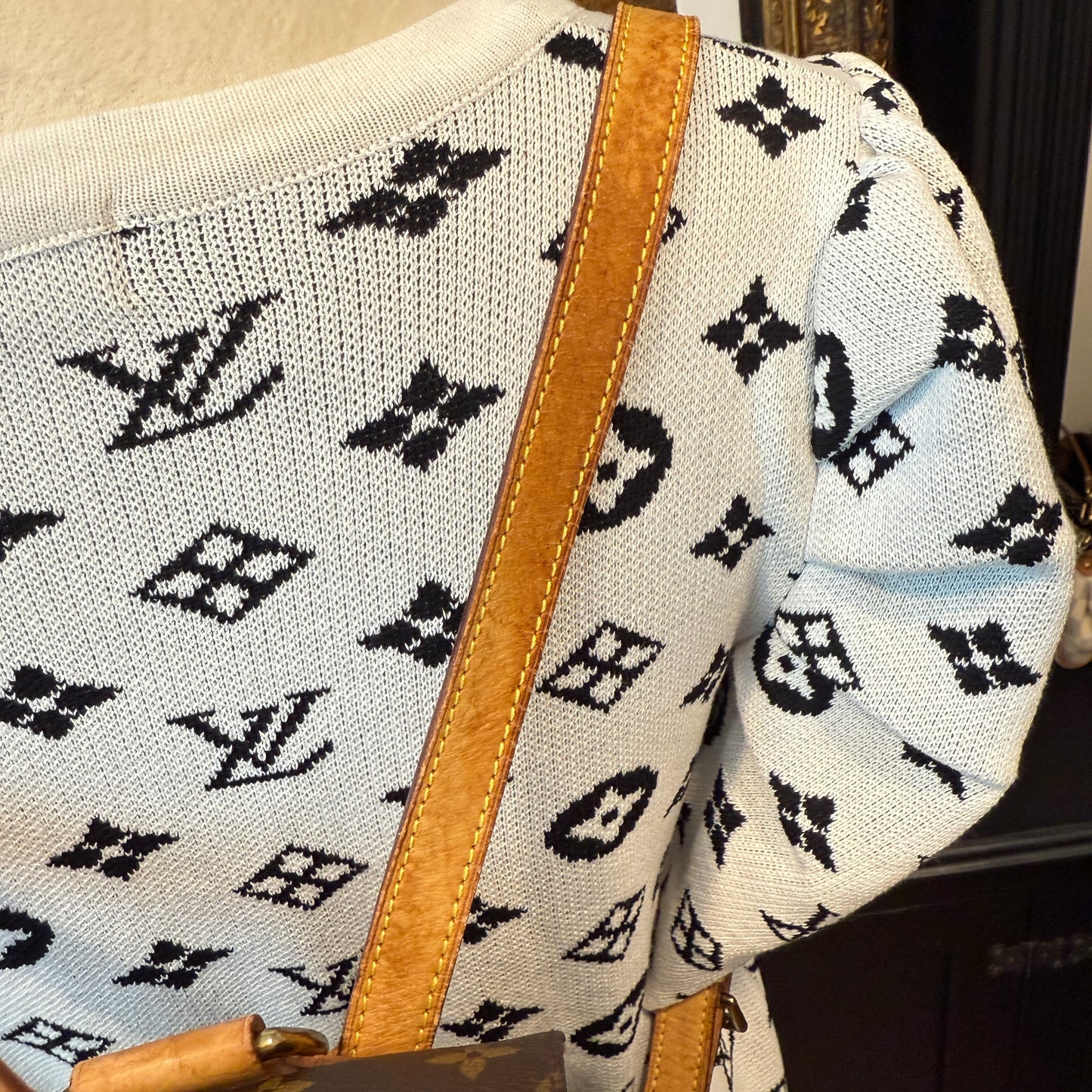 Louis Vuitton Montsouris MM Backpack