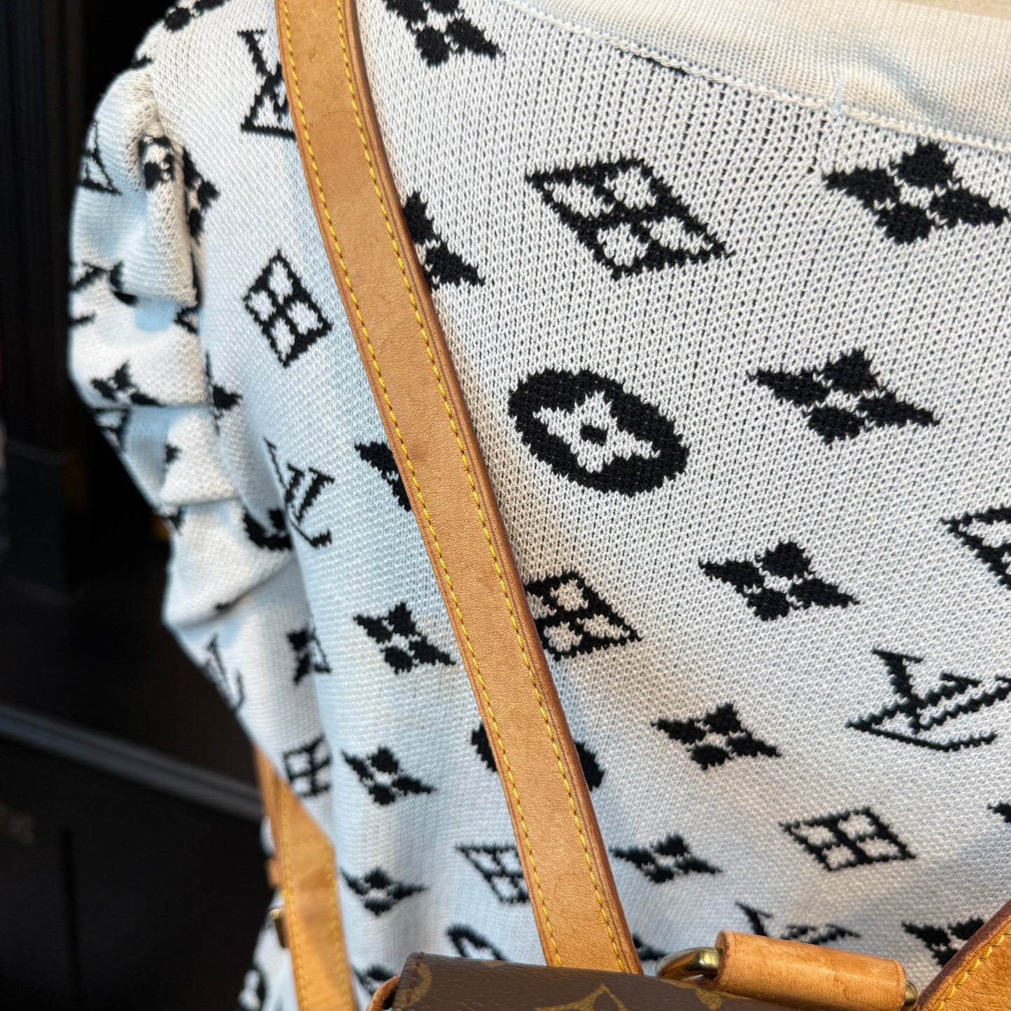 Louis Vuitton Montsouris MM Backpack