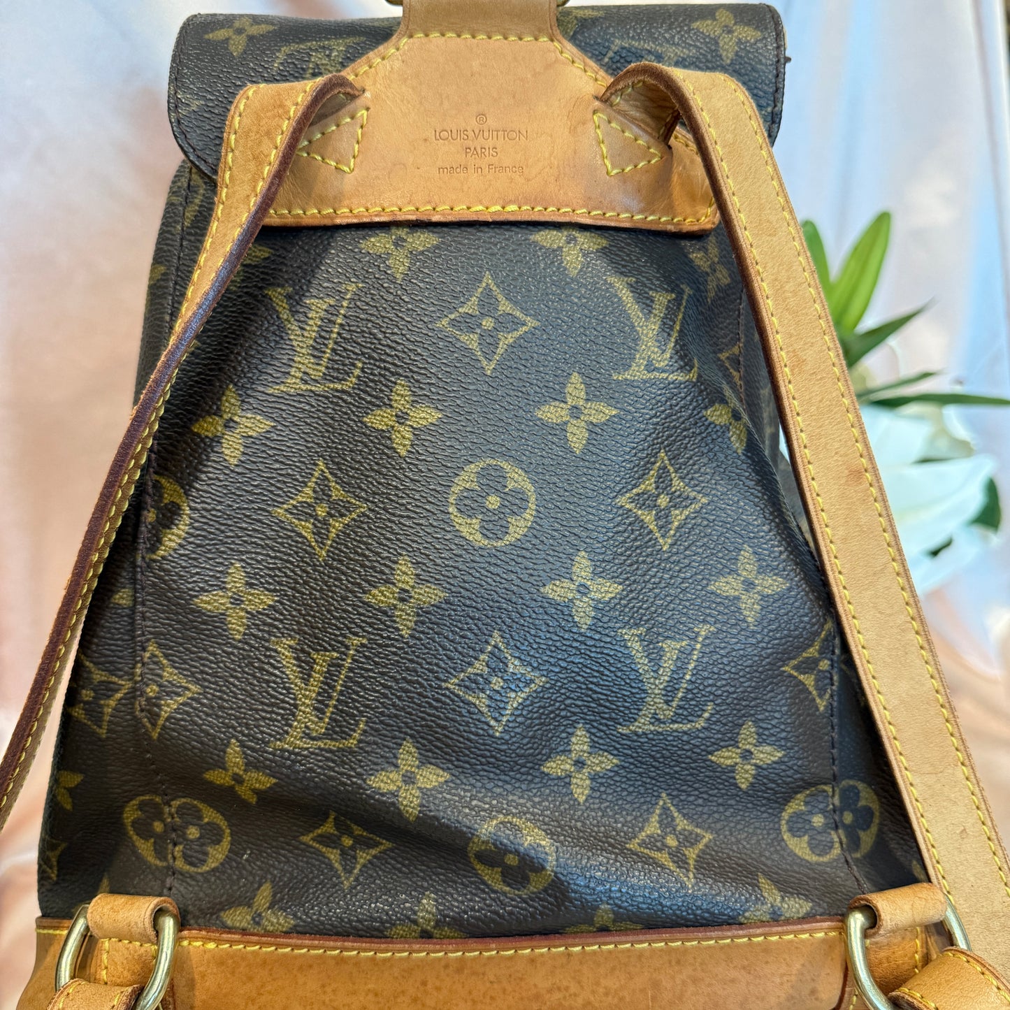 Louis Vuitton Montsouris MM Backpack