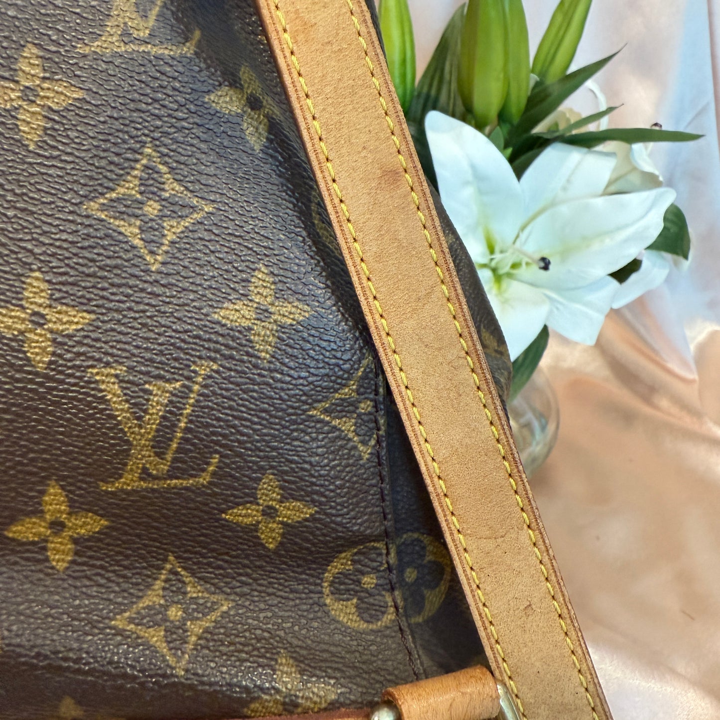 Louis Vuitton Montsouris MM Backpack