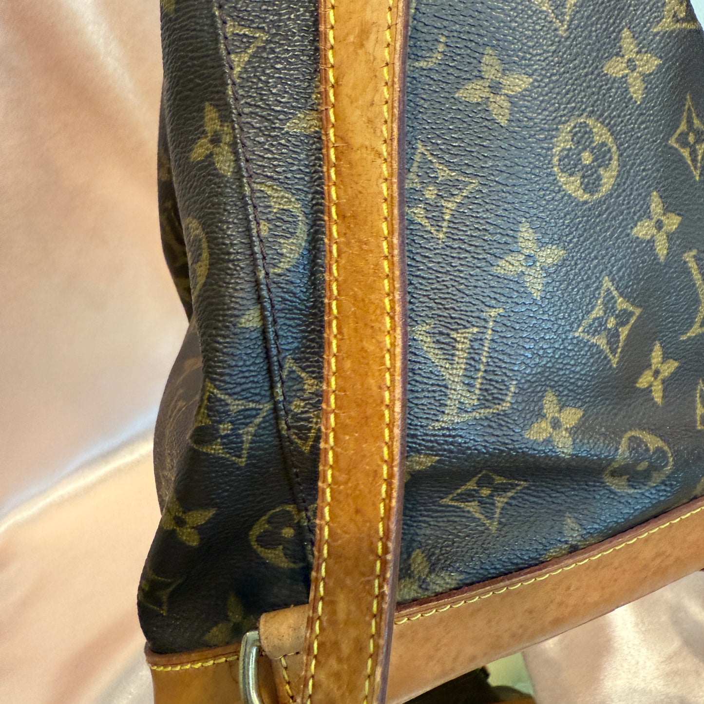 Louis Vuitton Montsouris MM Backpack