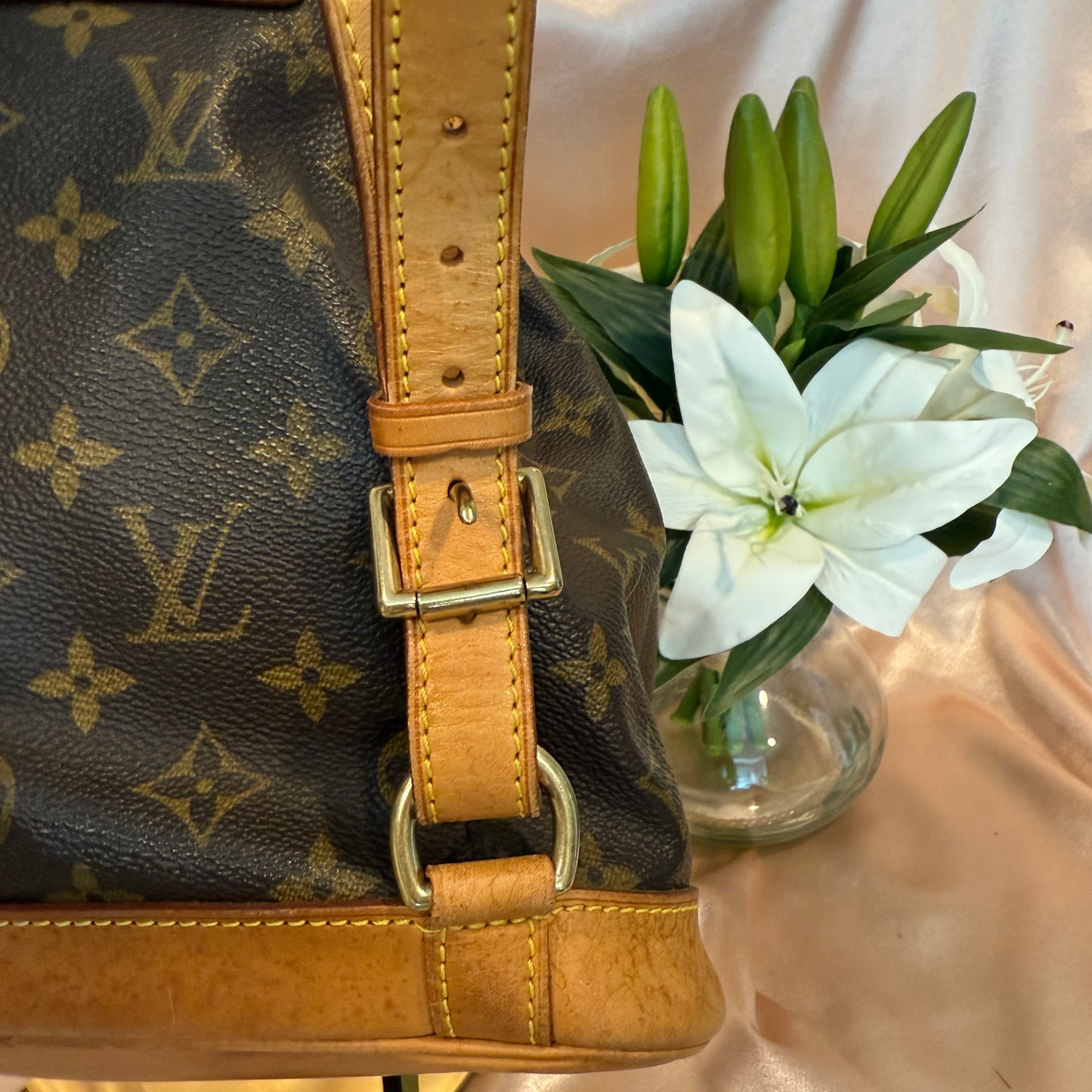 Louis Vuitton Montsouris MM Backpack