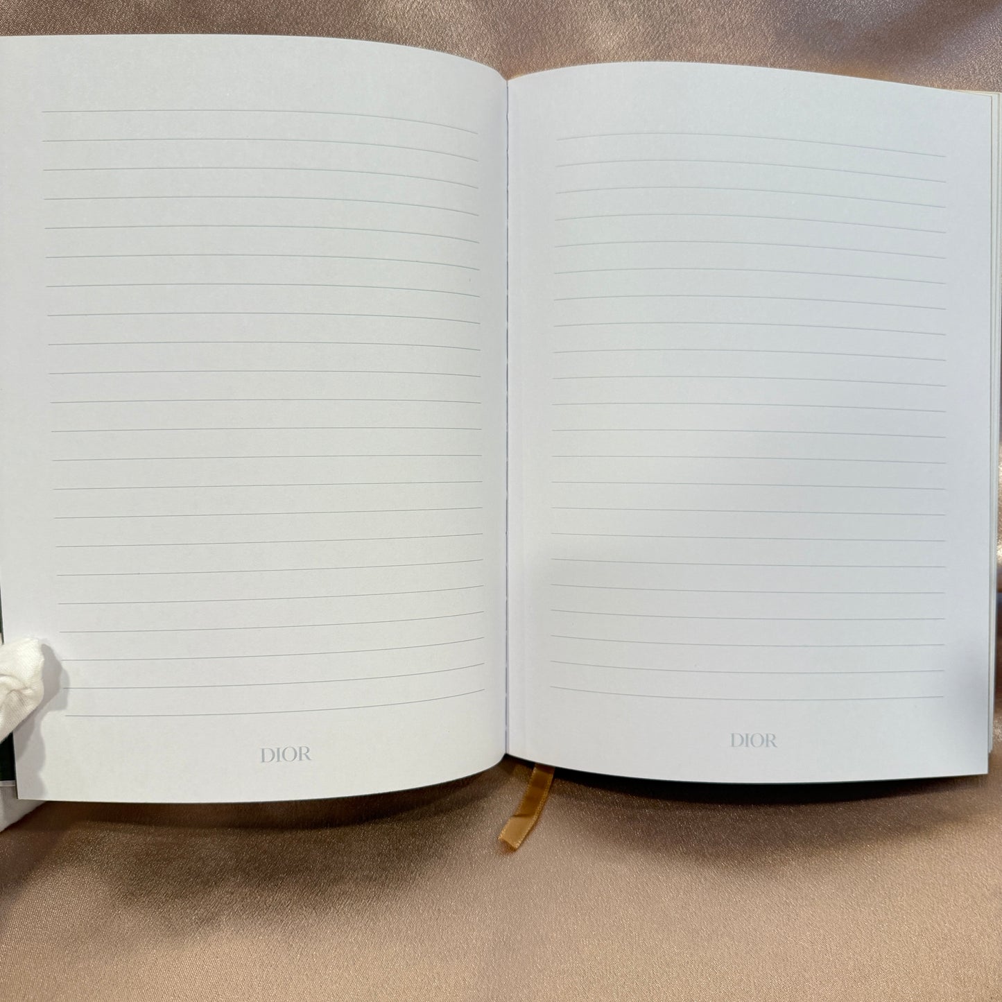 Dior Lined Journal