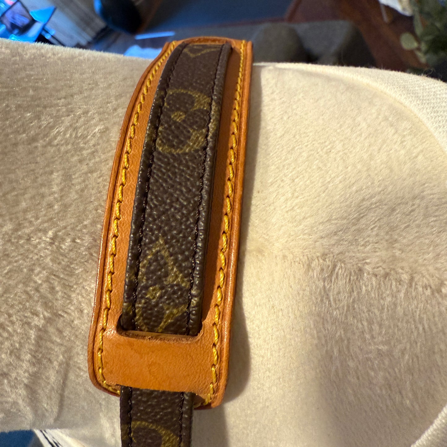 Louis Vuitton Amazon