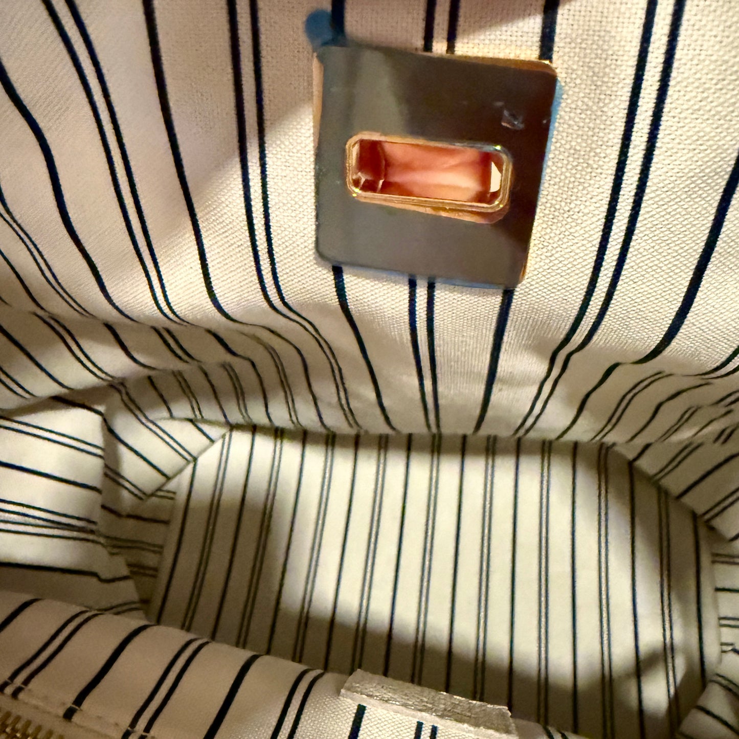 Louis Vuitton Citadine Tote