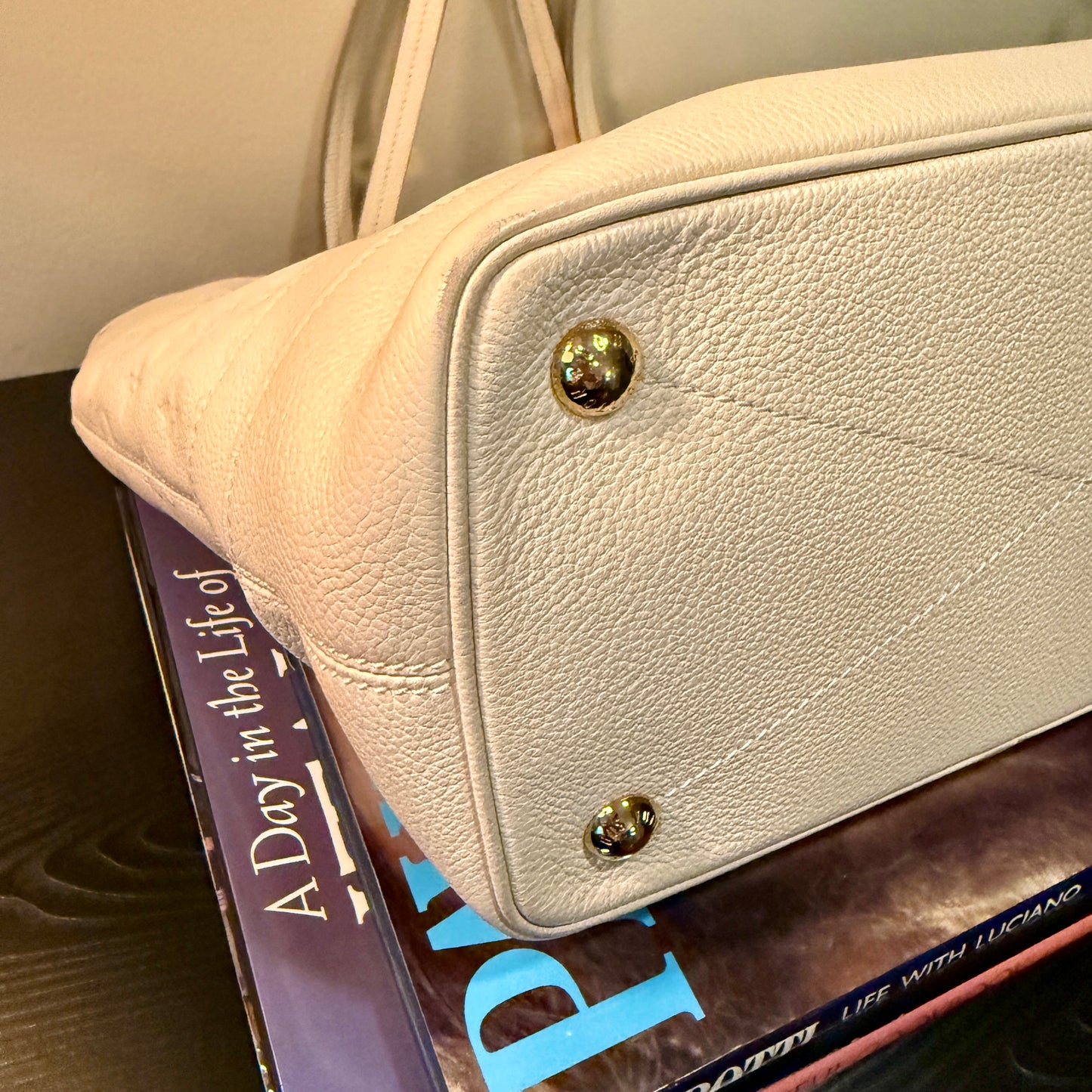 Louis Vuitton Citadine Tote