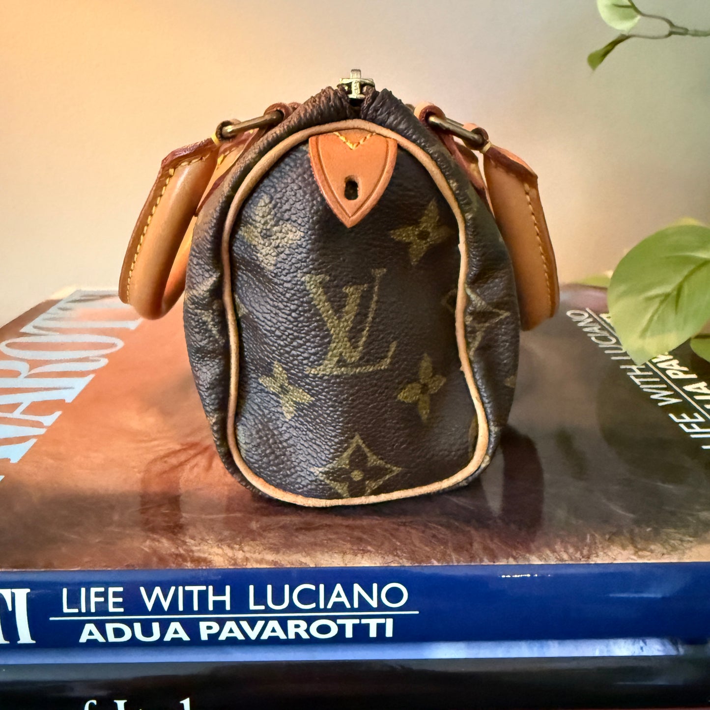 Louis Vuitton Mini Sac HL