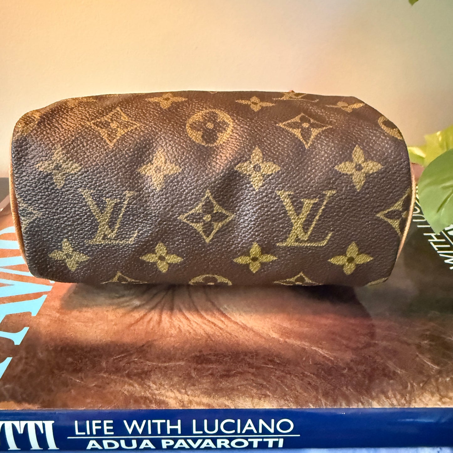 Louis Vuitton Mini Sac HL
