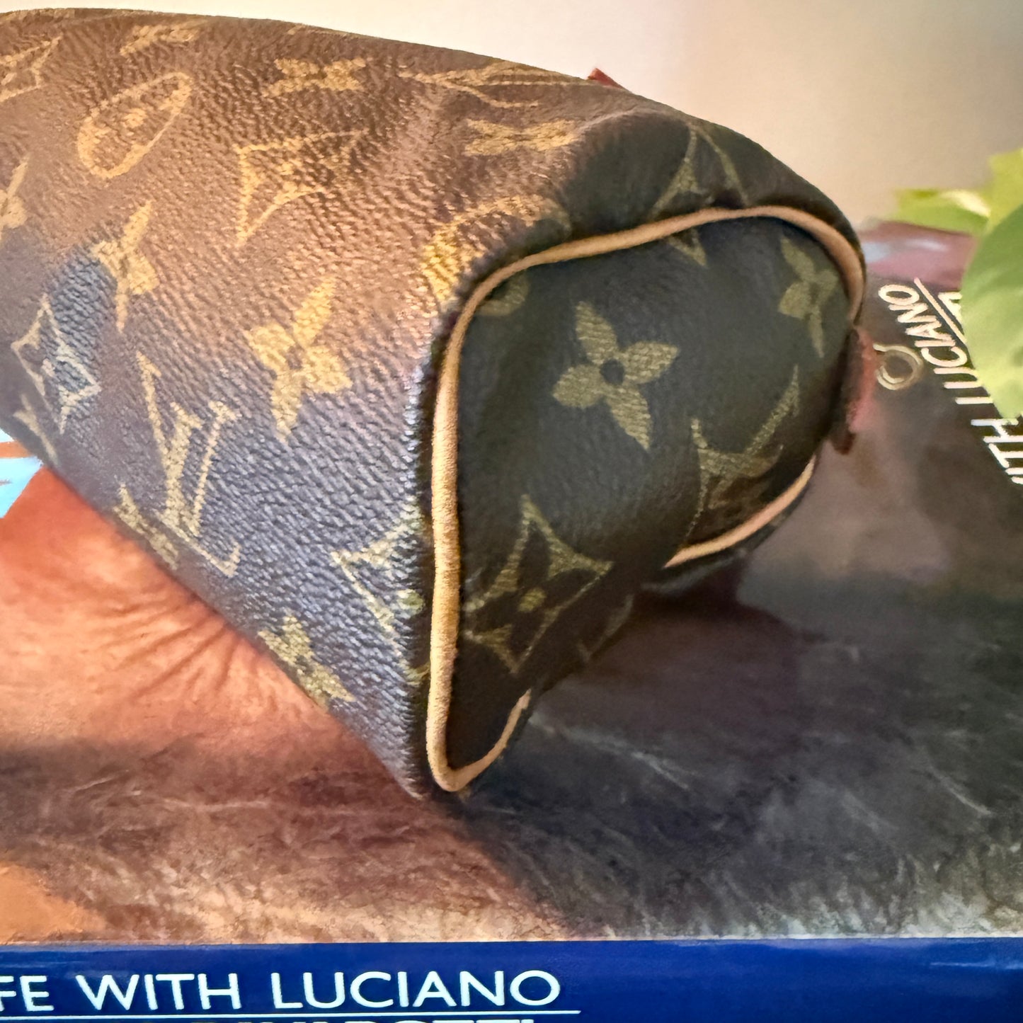 Louis Vuitton Mini Sac HL