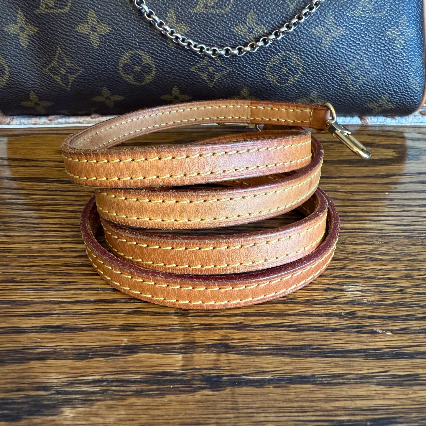 Louis Vuitton Eva