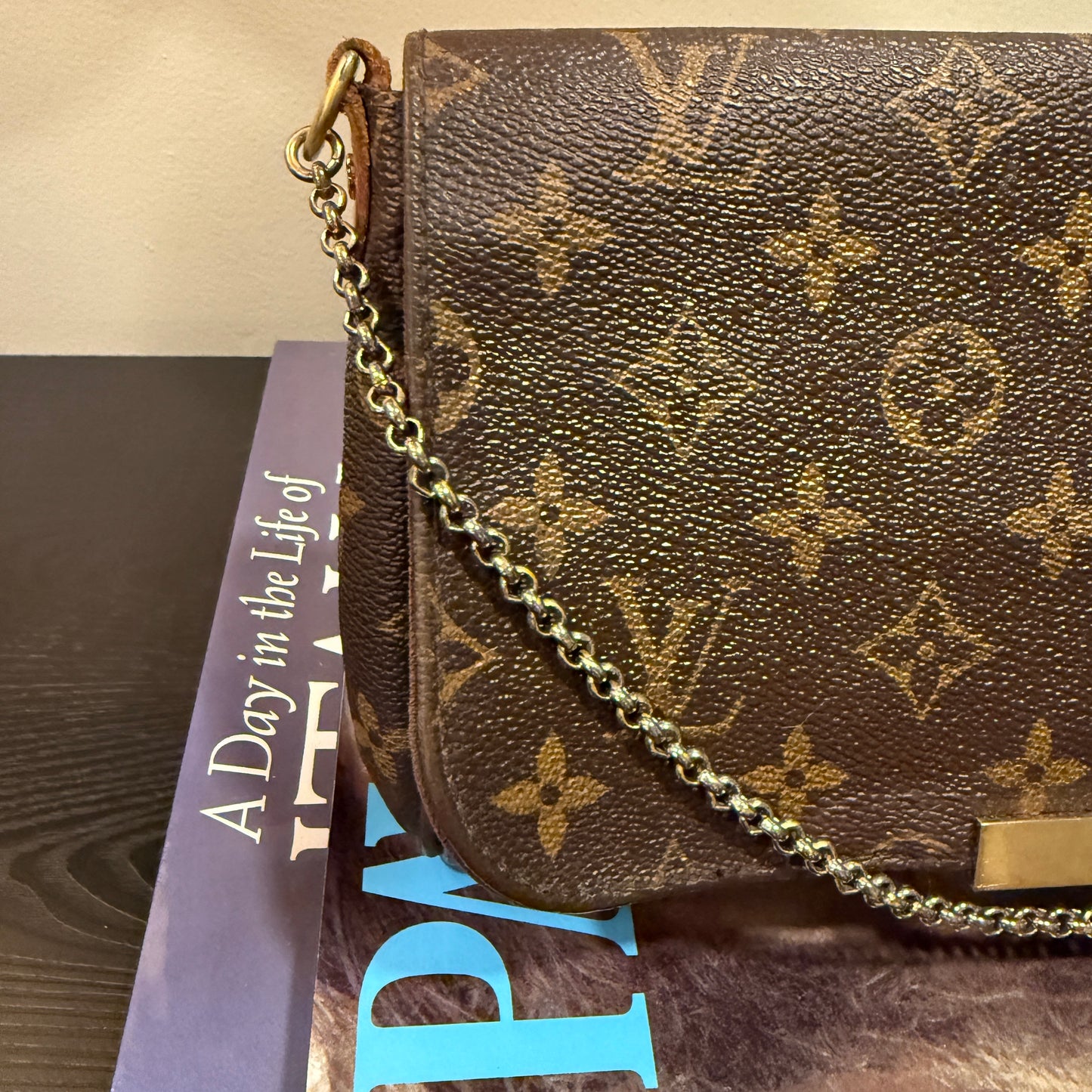 Louis Vuitton Favorite MM