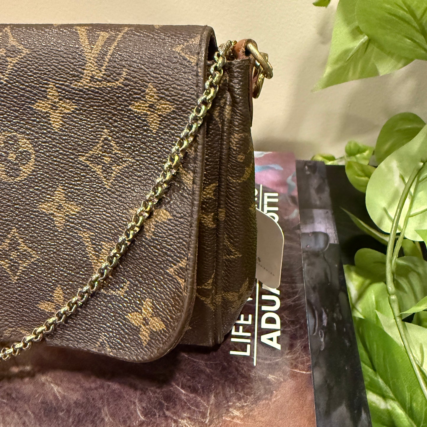 Louis Vuitton Favorite MM