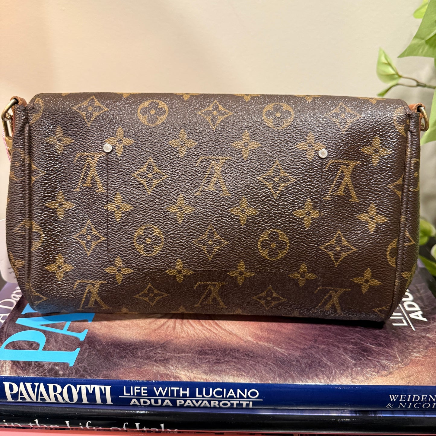 Louis Vuitton Favorite MM