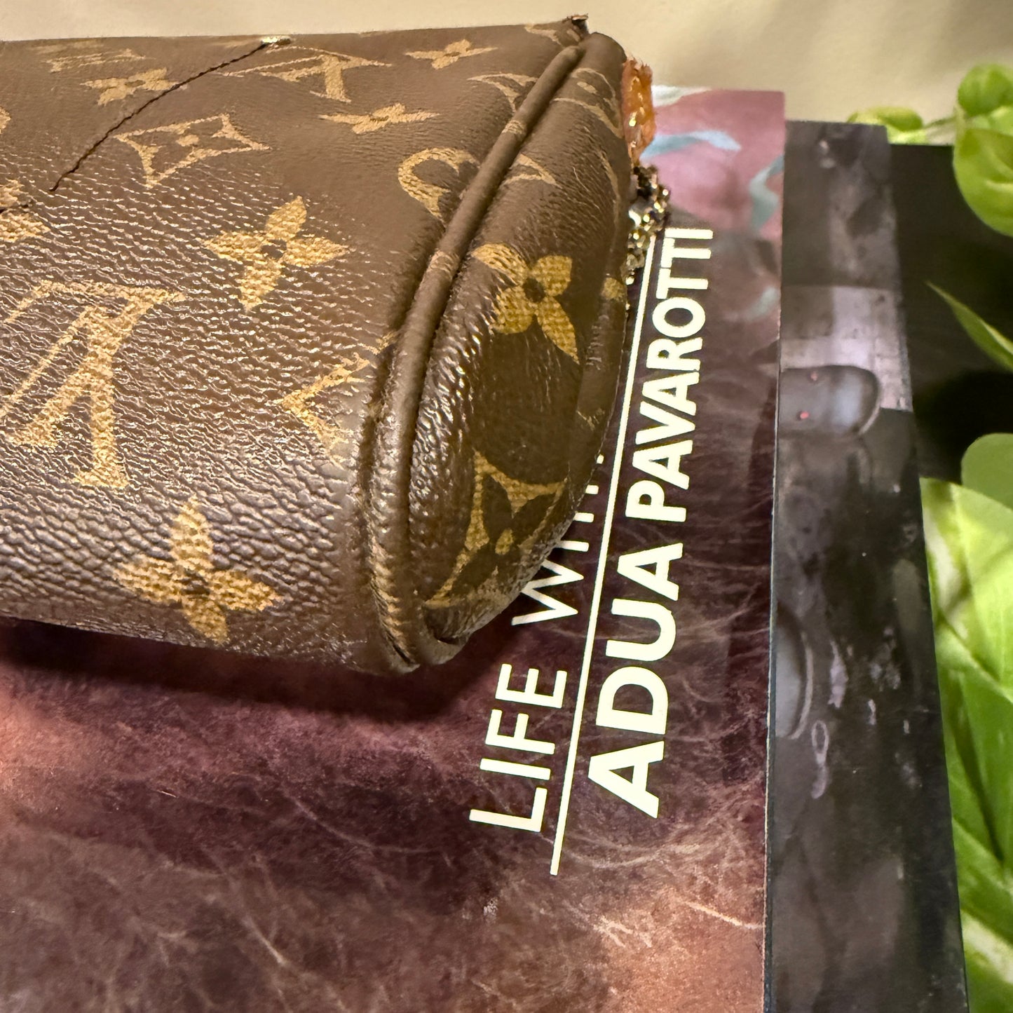 Louis Vuitton Favorite MM