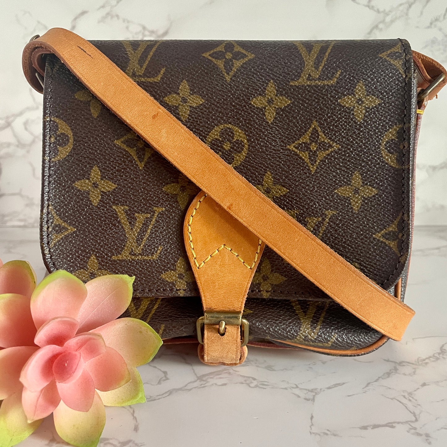 LOUIS VUITTON MINI CARTOUCHIERE