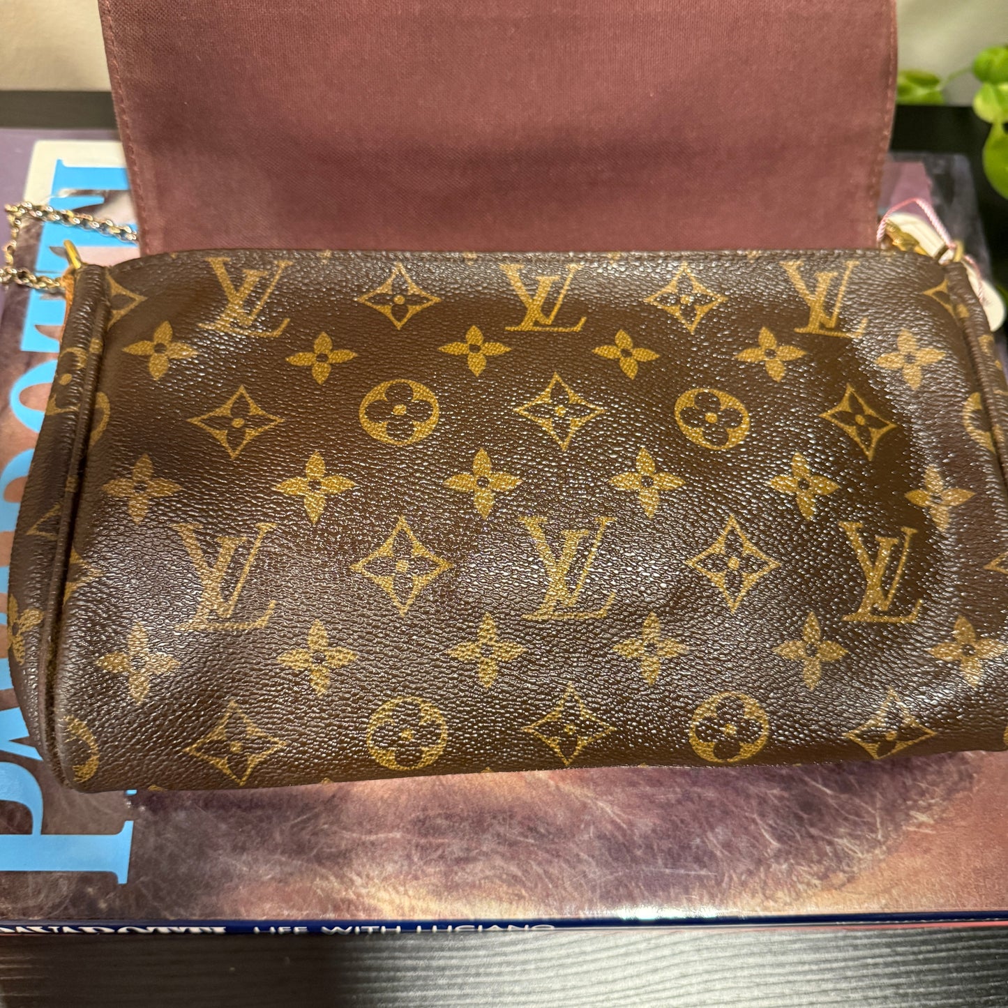 Louis Vuitton Favorite MM