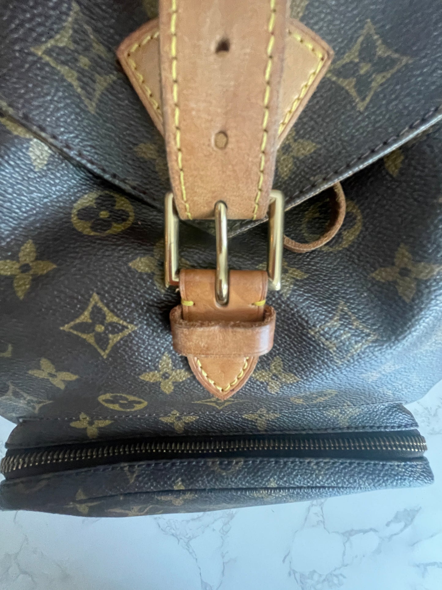 Louis Vuitton Montsouris GM