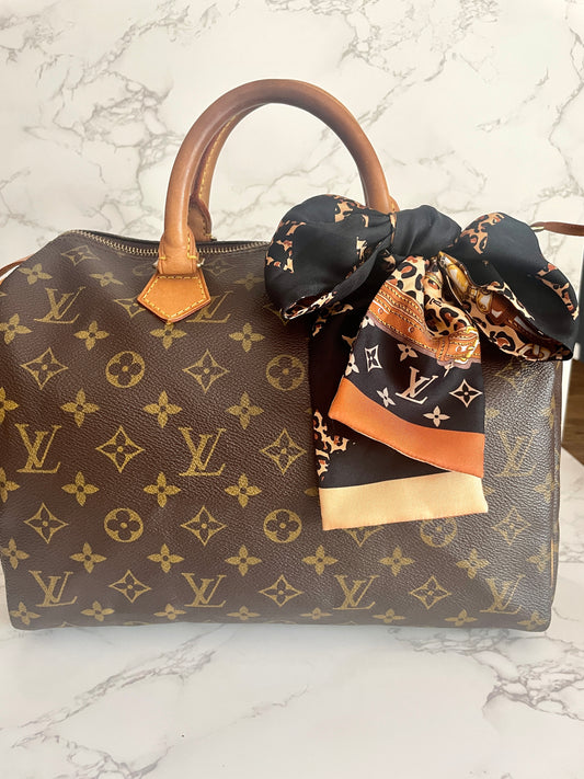 Louis Vuitton Speedy 30