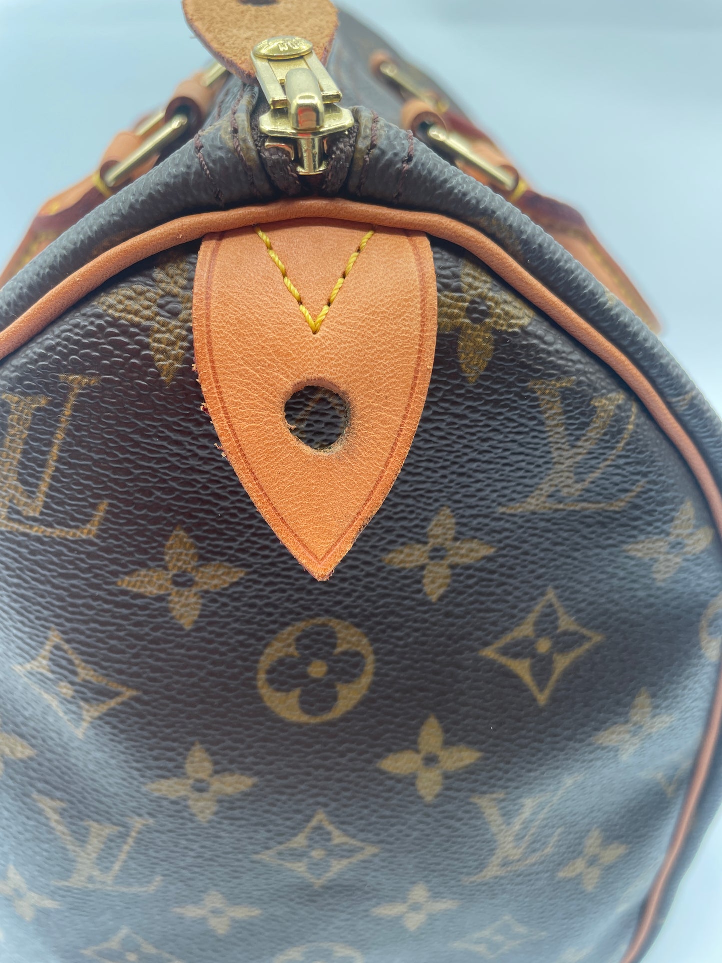 Louis Vuitton Speedy 30