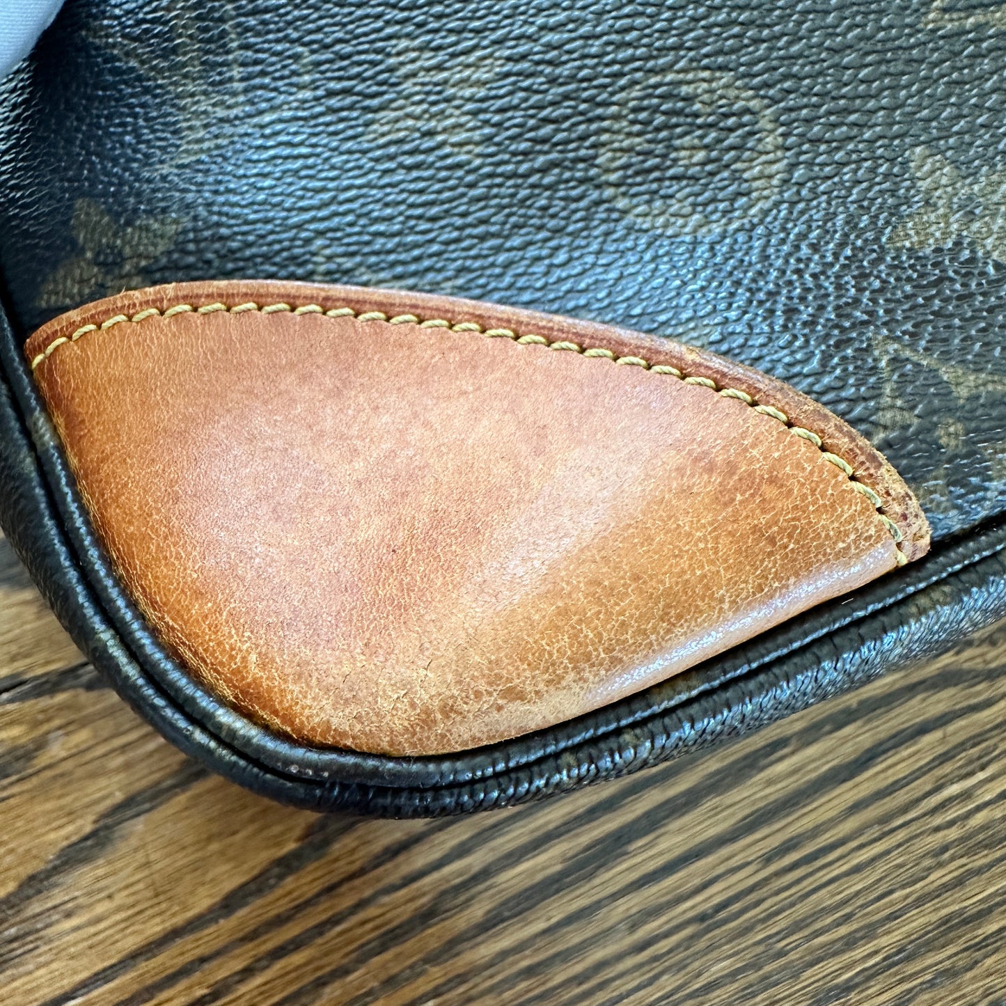 Louis Vuitton Hobo