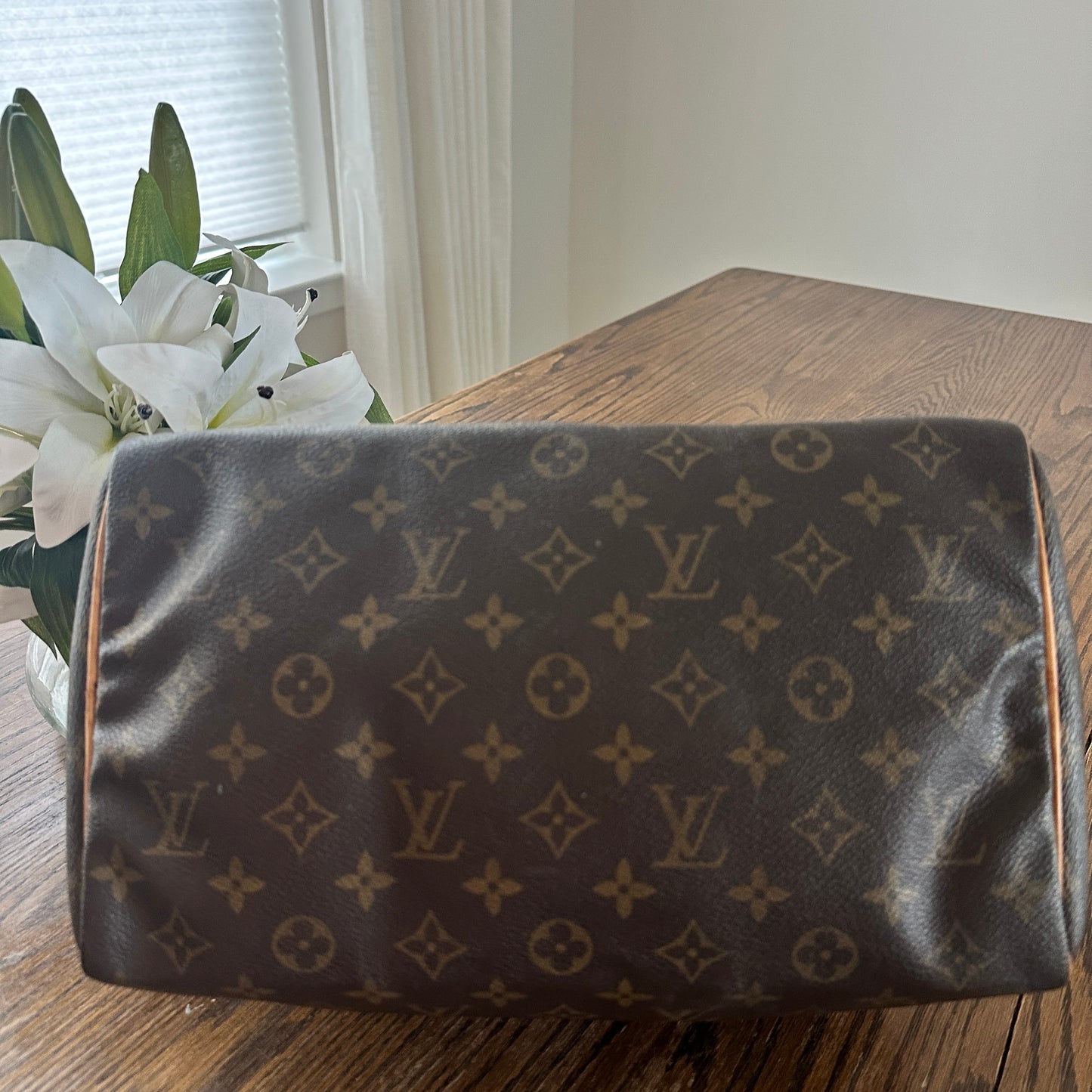 Louis Vuitton Speedy 30