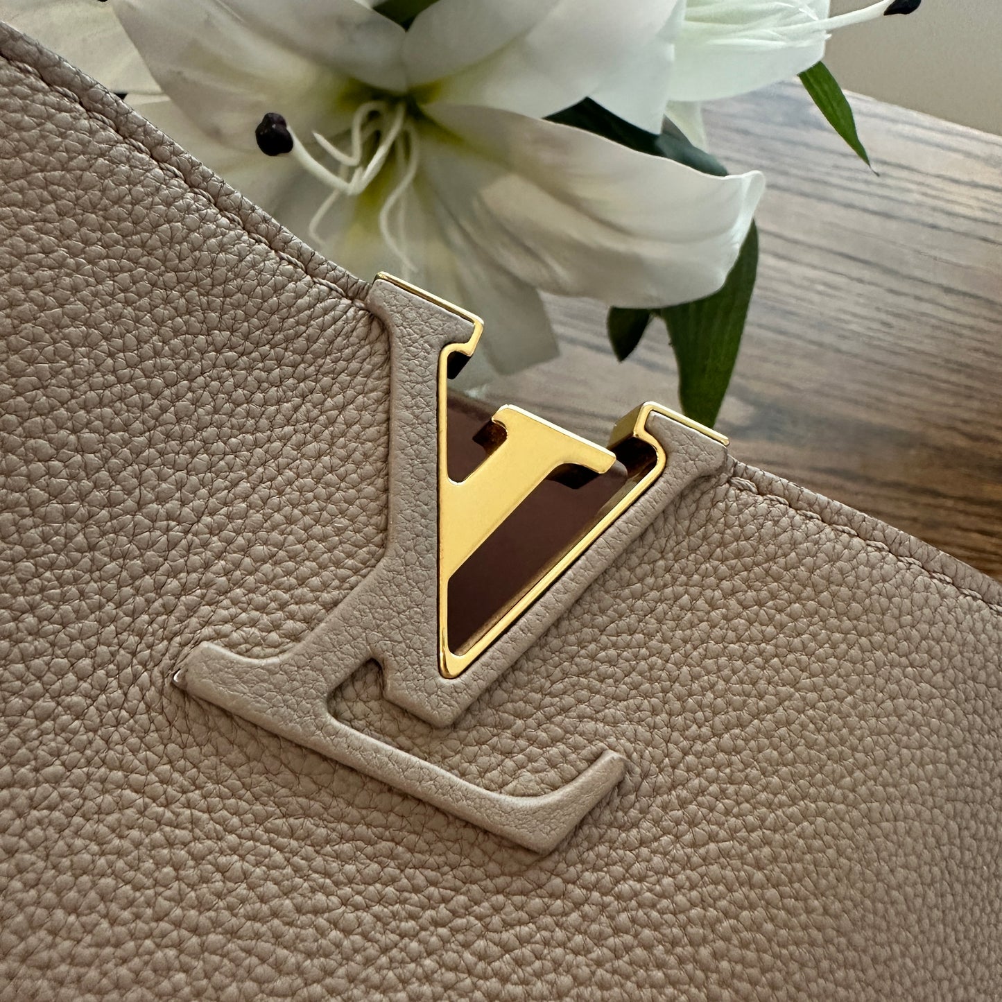 Louis Vuitton Tournon Hobo