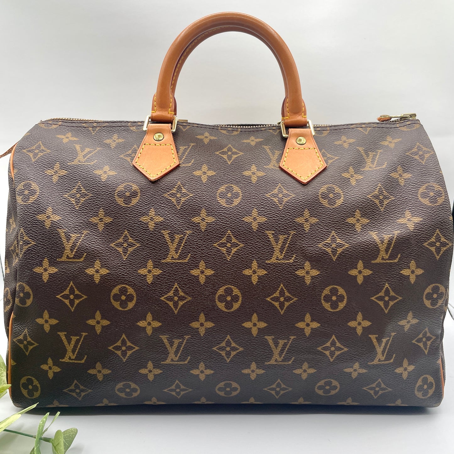 Louis Vuitton Speedy 35