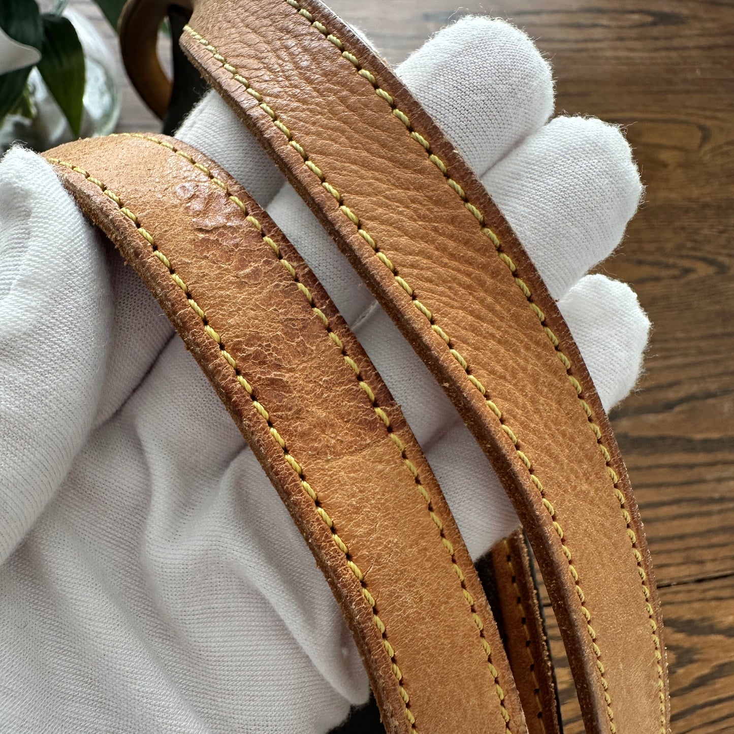 Louis Vuitton Ellipse GM