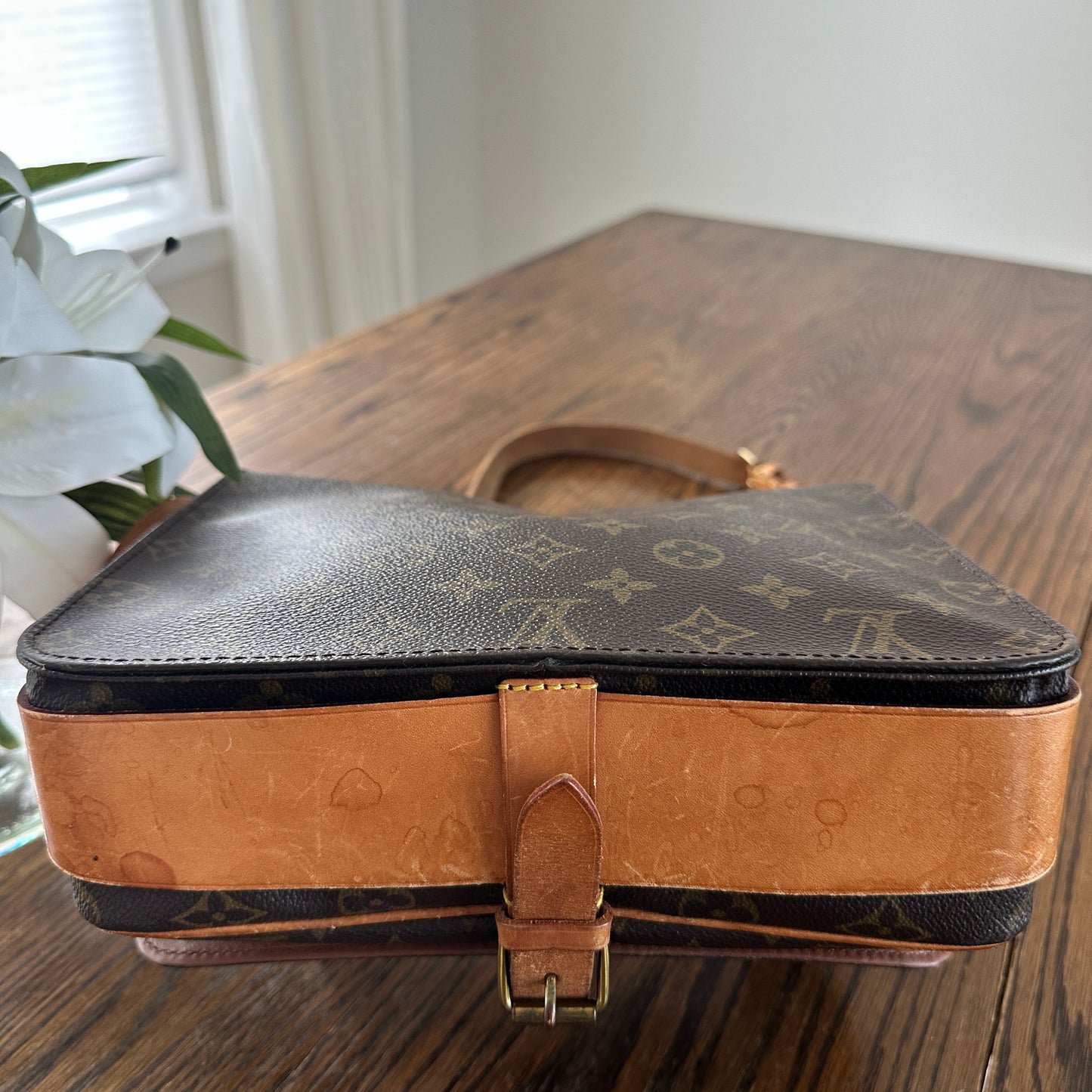 Louis Vuitton Cartouchiere