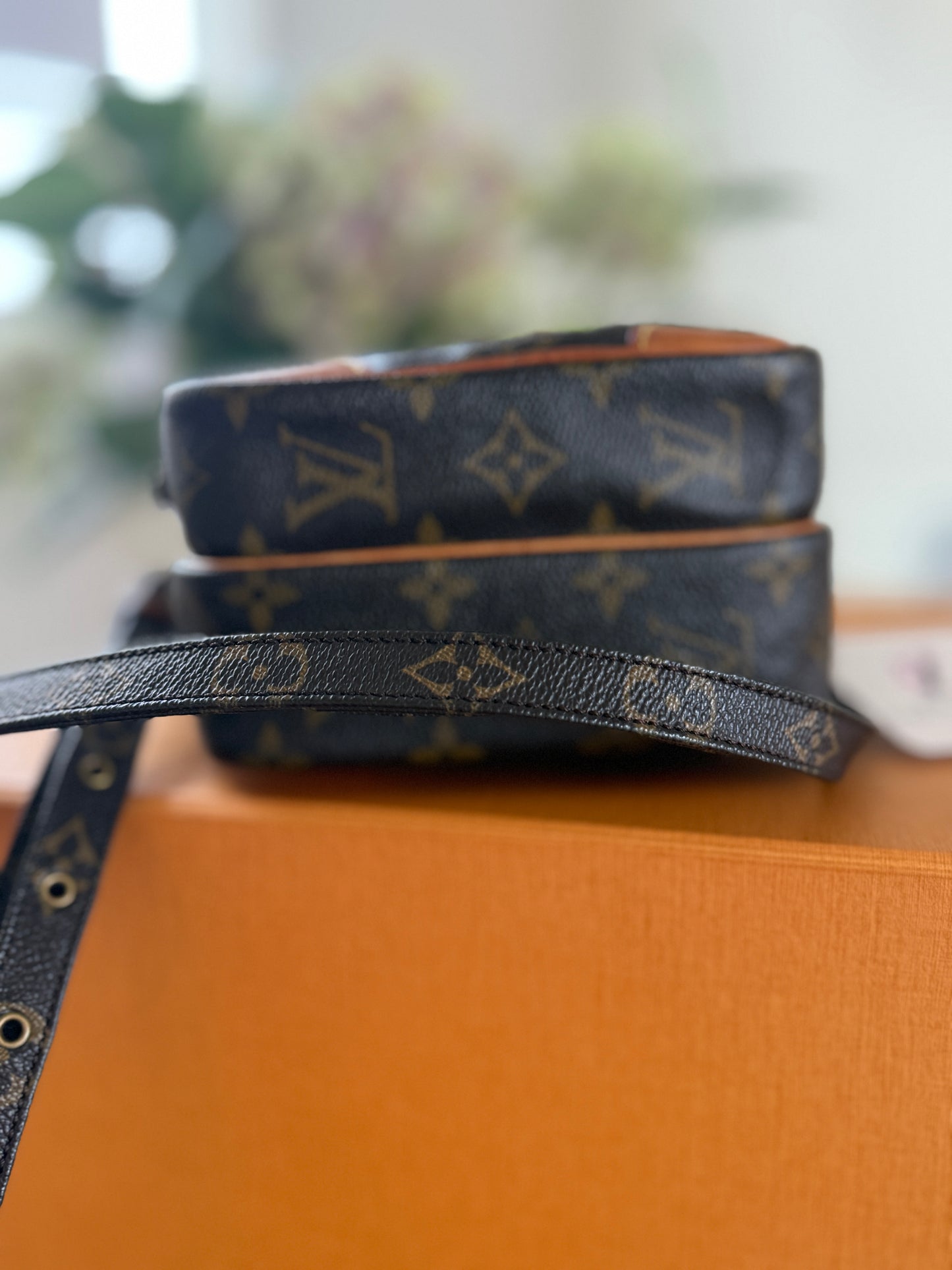 Louis Vuitton Amazon