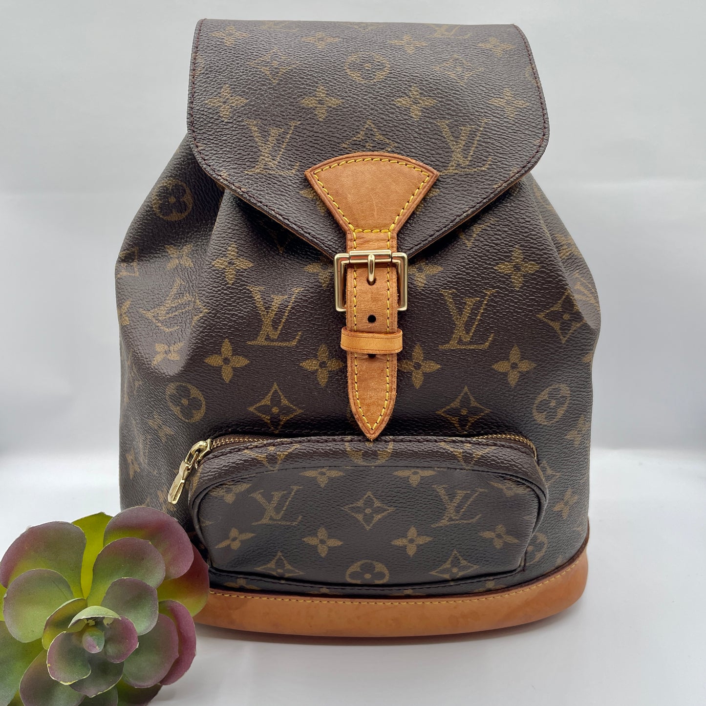 Louis Vuitton Montsouris Backpack MM