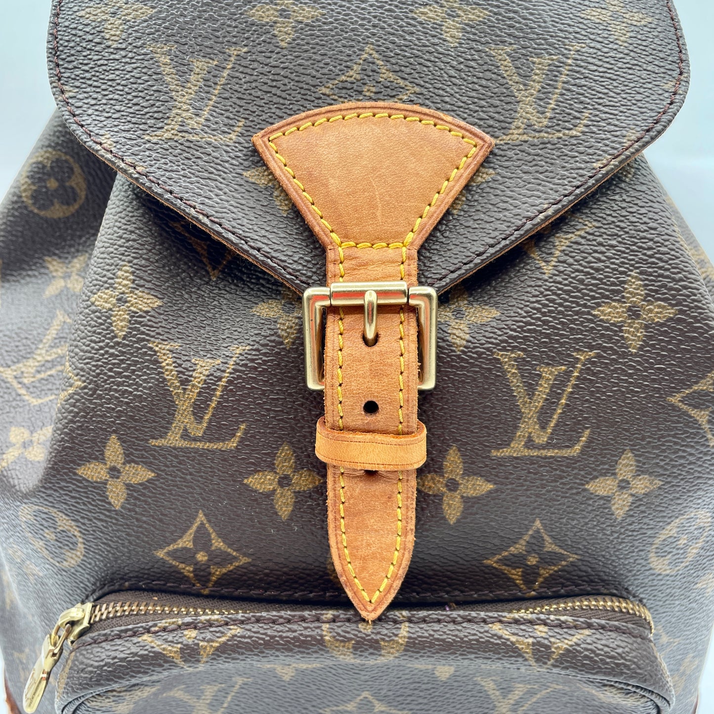 Louis Vuitton Montsouris Backpack MM