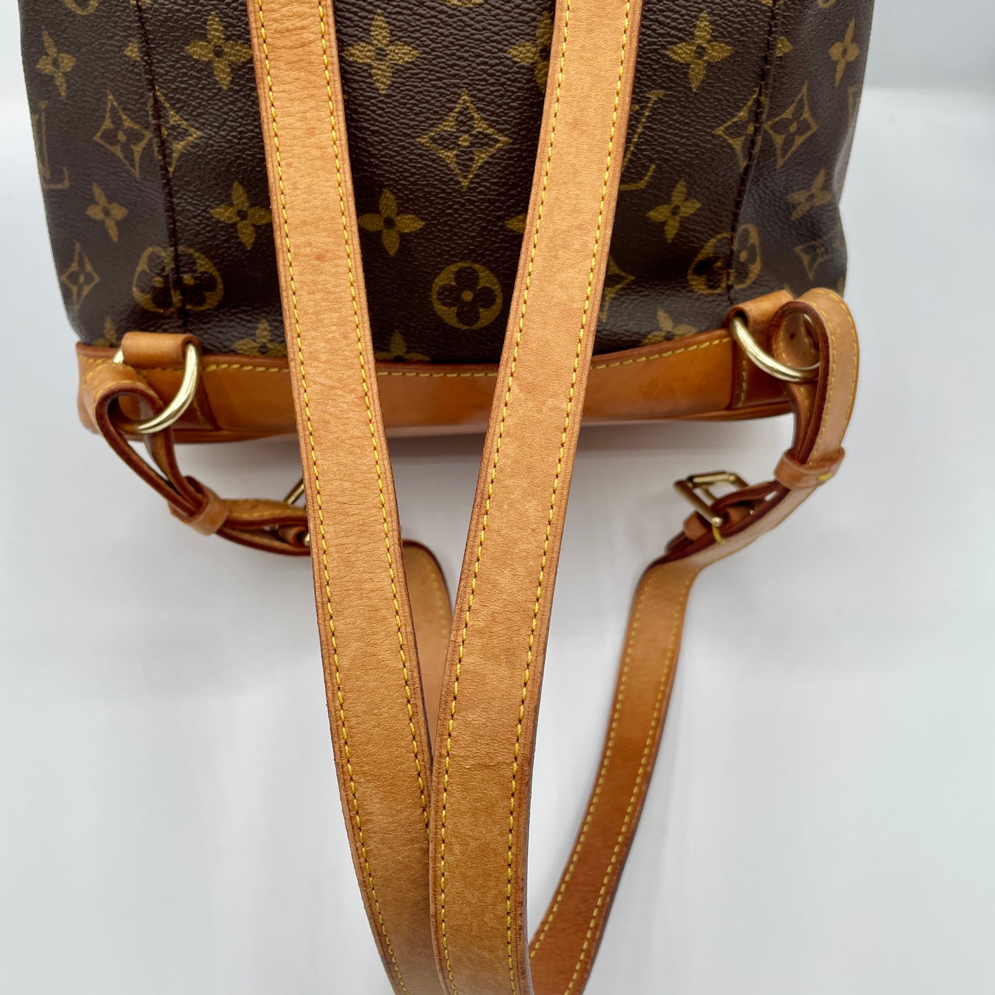 Louis Vuitton Montsouris Backpack MM