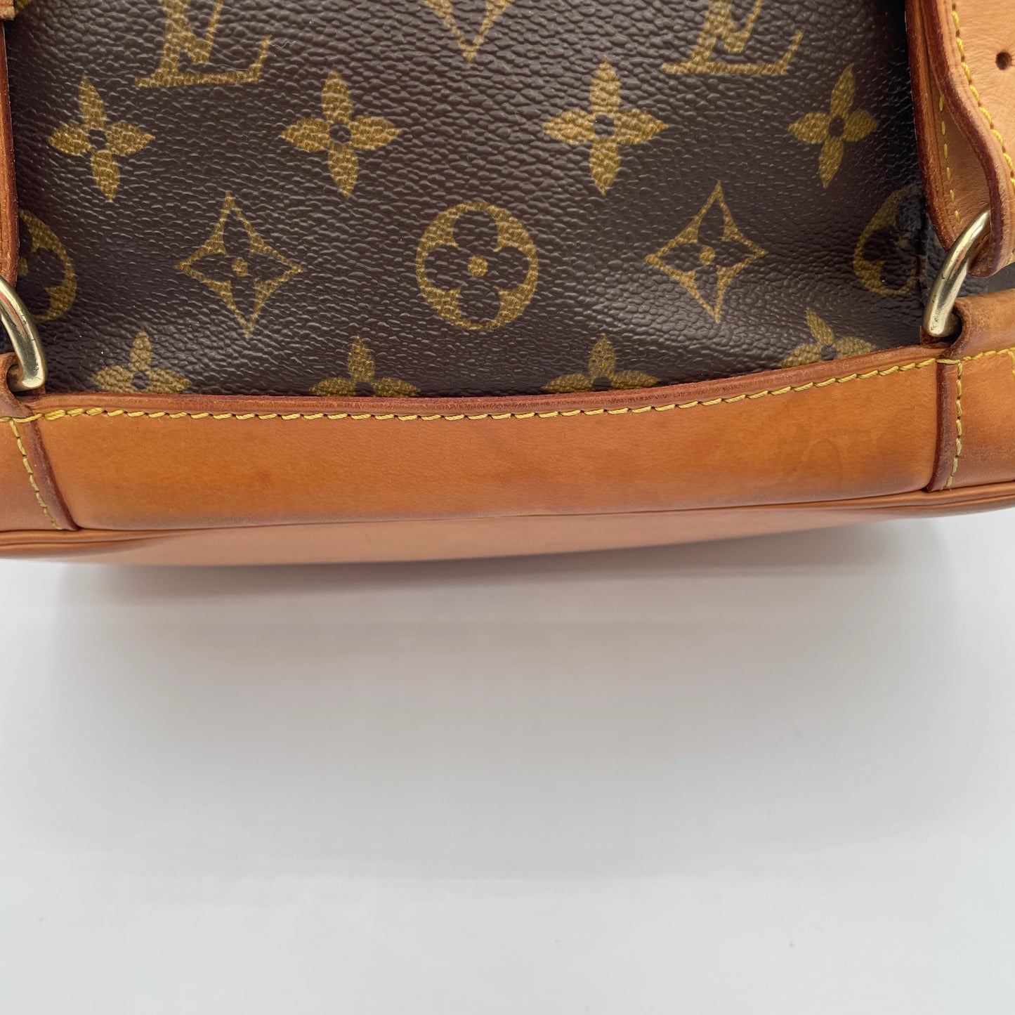 Louis Vuitton Montsouris Backpack MM