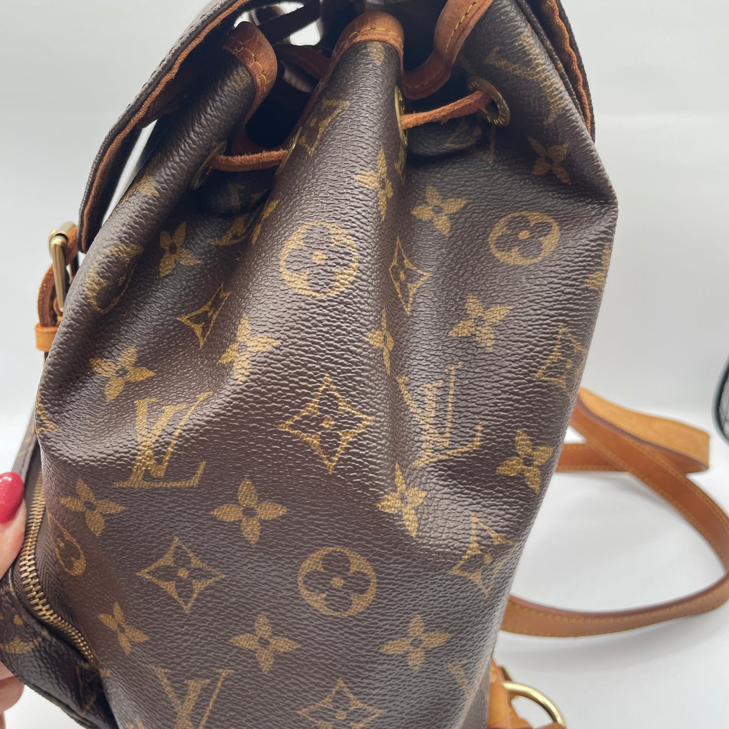 Louis Vuitton Montsouris Backpack MM