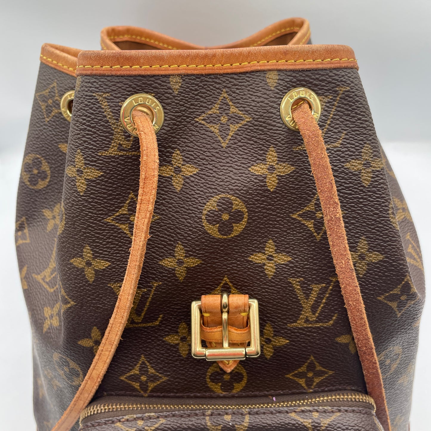 Louis Vuitton Montsouris Backpack MM