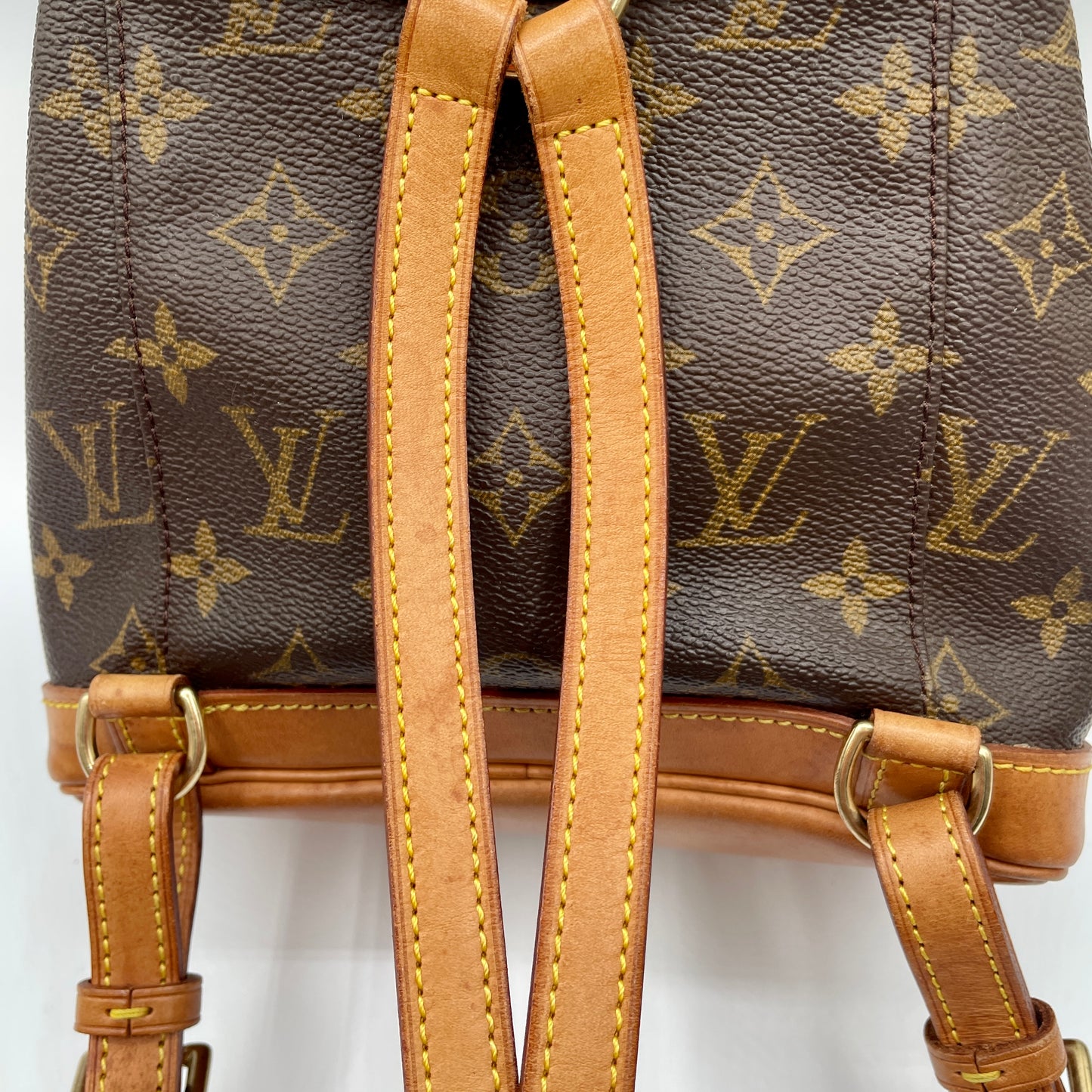 Louis Vuitton Montsouris Backpack PM