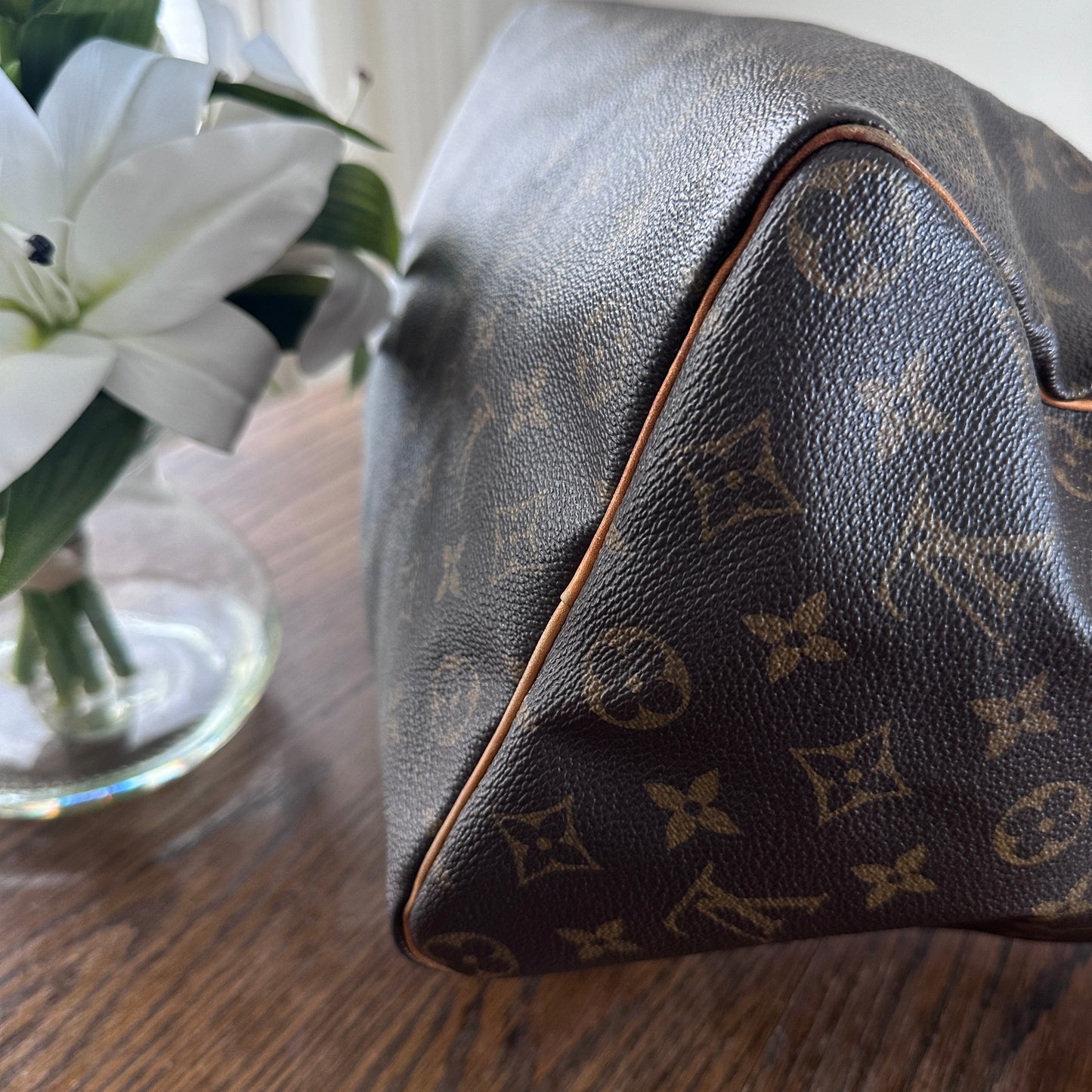 Louis Vuitton Speedy 35