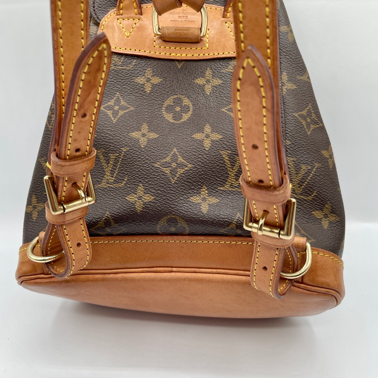 Louis Vuitton Montsouris Backpack PM