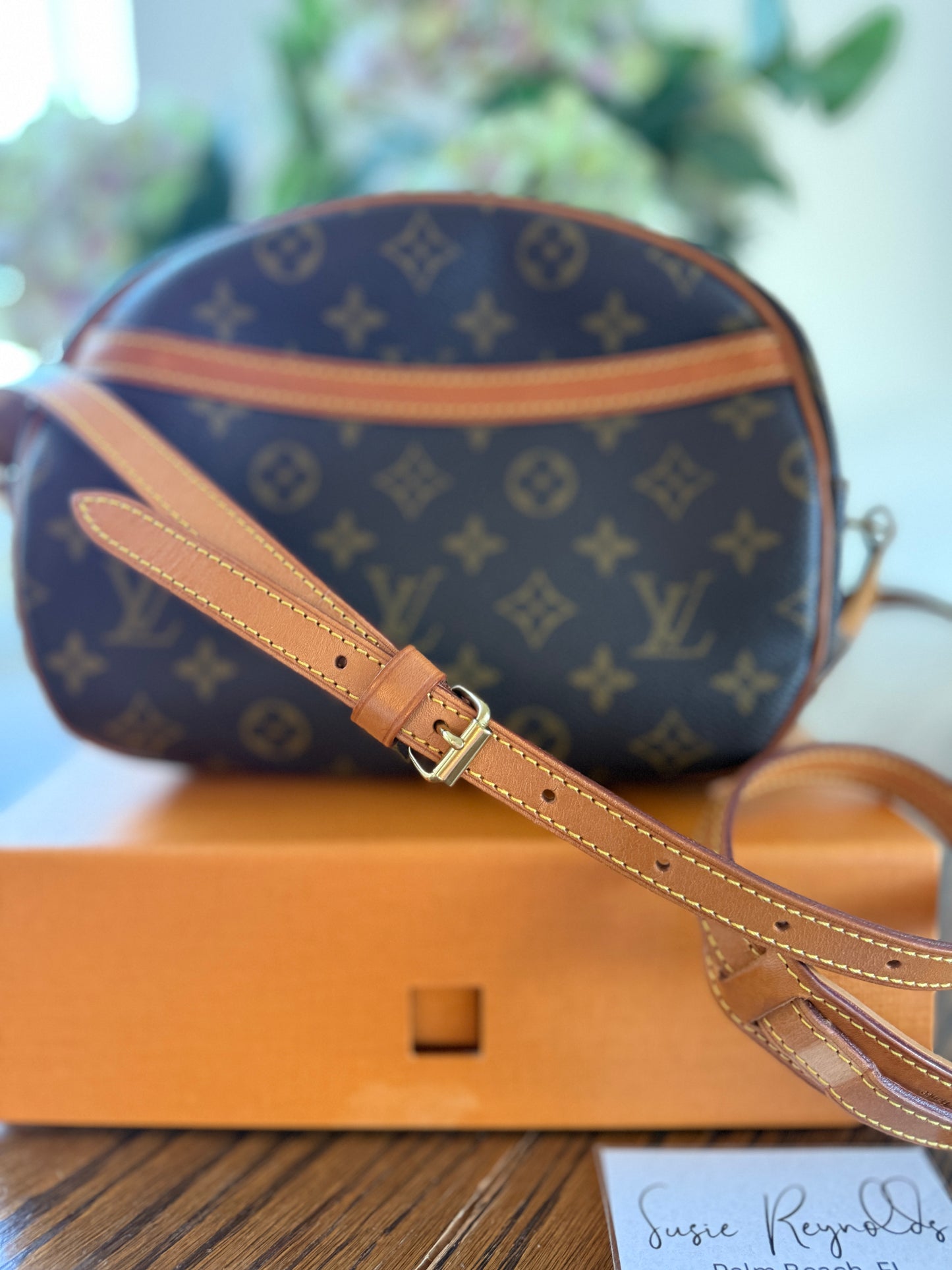 Louis Vuitton Blois