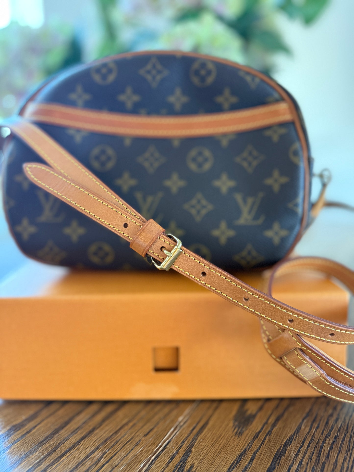 Louis Vuitton Blois