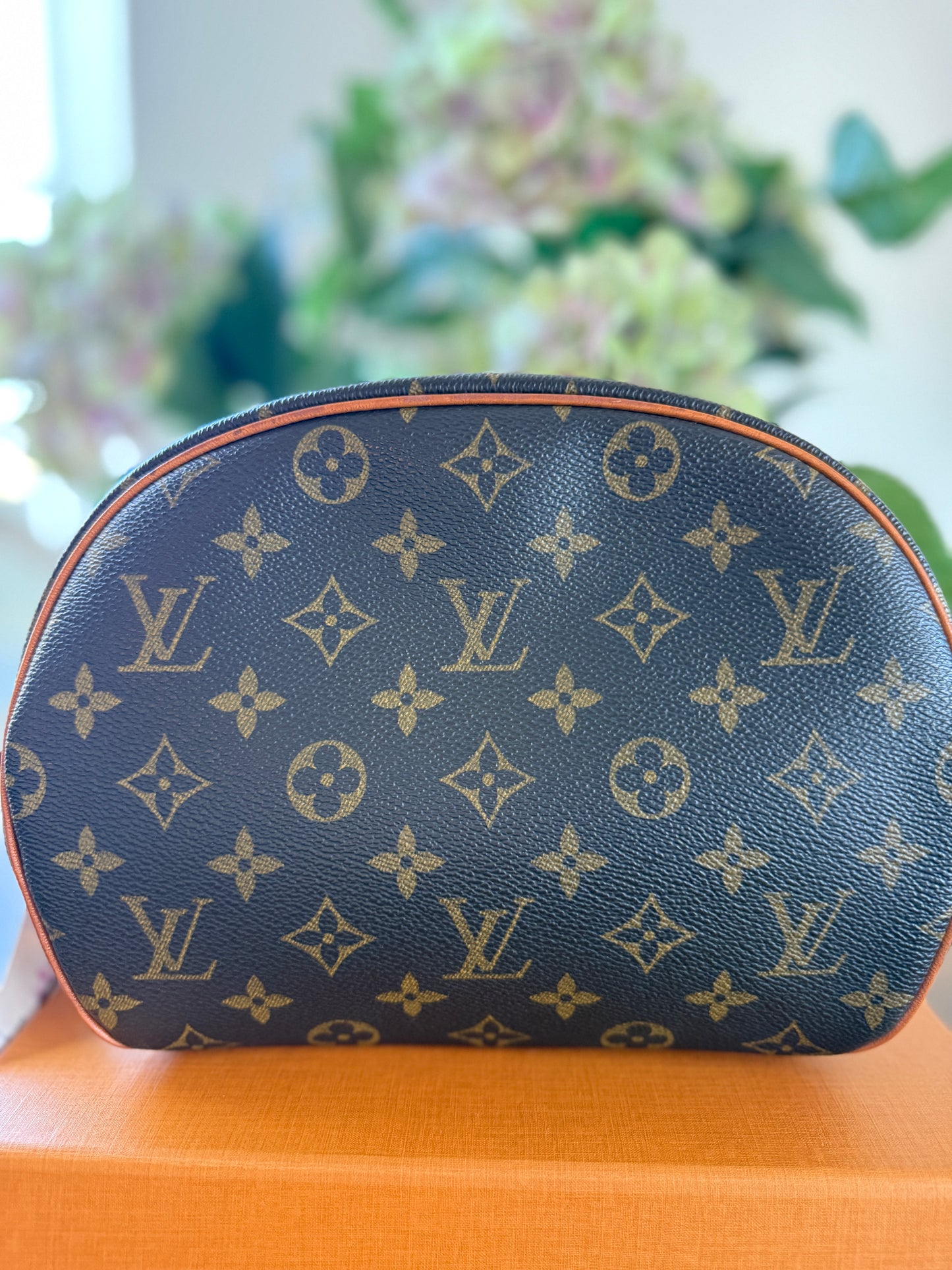 Louis Vuitton Blois