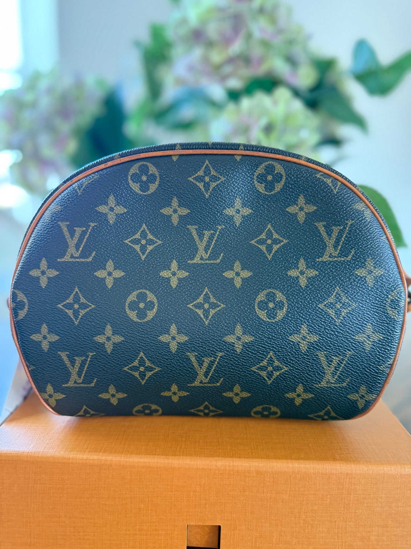 Louis Vuitton Blois